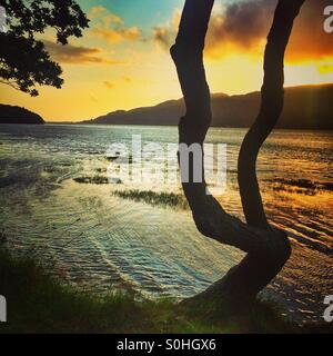 Sonnenuntergang über den Mawddach Trail in der Nähe von Barmouth, Wales Stockfoto