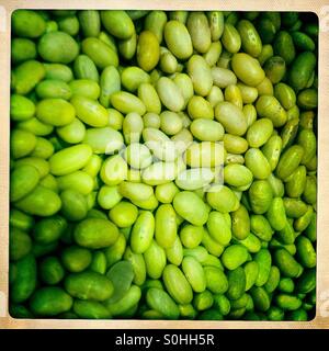 Kidney-Bohnen zum Verkauf im Mercado de Medellin, Colonia Roma, Mexiko-Stadt, Mexiko Stockfoto