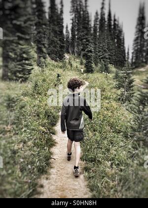 Erkunden den Wald auf dem Pacific Crest Trail in Washington, USA Stockfoto