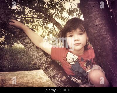 Vier Jahre alter Junge im Baum Stockfoto