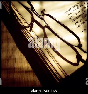 Kopie aus dem Jahr 1894 der Antike "Tennyson: seine Kunst und Bezug zum modernen Leben" Buch mit Lesebrille. Stockfoto