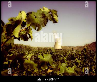 Weinberge rund um den zentralen nuklearen de Ascó (Kernkraftwerk), Tarragona, Spanien. Stockfoto