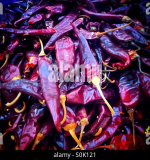 Trocknen von Chilischoten zu verkaufen in Mercado Melchor Ocampo (Medellin Markt) in Colonia Roma, Mexiko-Stadt, Mexiko Stockfoto