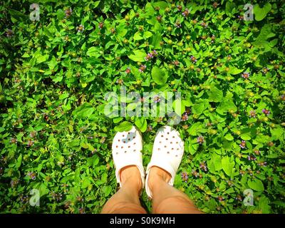 Füße in weißen Krokodile auf dem grünen Rasen Stockfoto