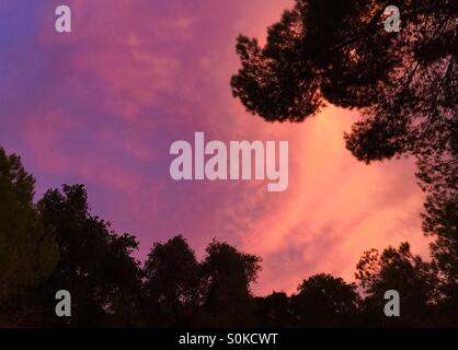 Blau rosa lila Himmel Stockfoto