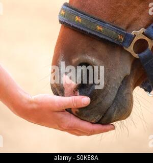 Freunde Stockfoto