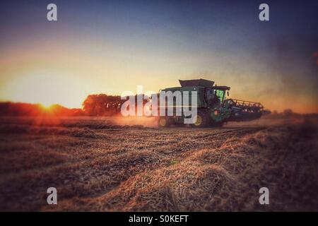 Ein Mähdrescher fleißig bei Sonnenuntergang. Umgeben von Staub mit der untergehenden Sonne am Horizont. Stockfoto