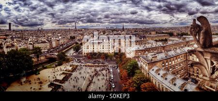 Paris-Skyline von Notre-Dame mit Wasserspeier im Vordergrund Stockfoto