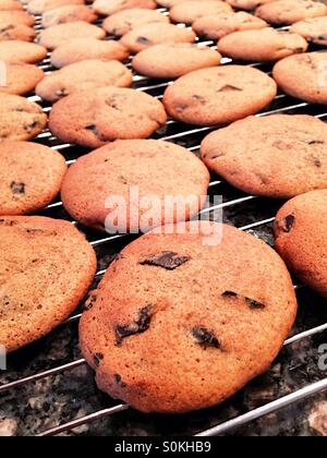 Frischer Kürbis, chocolate Chunk Cookies auf ein Kuchengitter Stockfoto