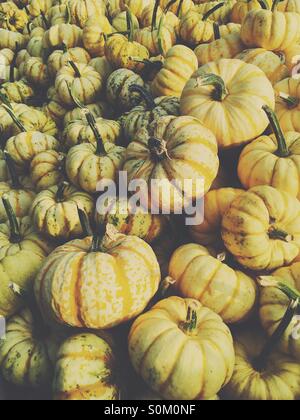 Kürbis-Stapel Stockfoto