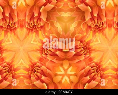 Kaleidoskop-Bild der Dahlie Blütenblätter Stockfoto