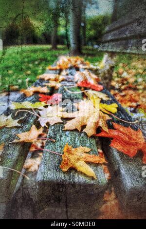 Eine hölzerne Parkbank in bunten herbstlichen Blättern bedeckt. Strukturierte Oberfläche mit ein wenig HDR. Stockfoto