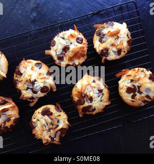 Kokosnuss und Chocolate Chip Muffins Stockfoto