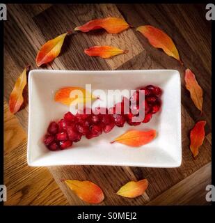 Frischen Granatapfelkernen auf einer Servierplatte anrichten, mit herbstlichen Granatapfel Blättern verziert. Stockfoto