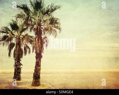 Zwei Palmen, leeren Strand, St Kilda, Melbourne, Australien Stockfoto