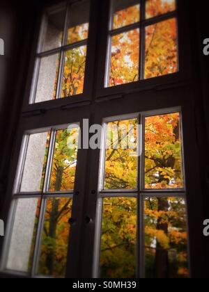 Bäume in flammenden Herbstfarben durch ein Fenster betrachten Stockfoto