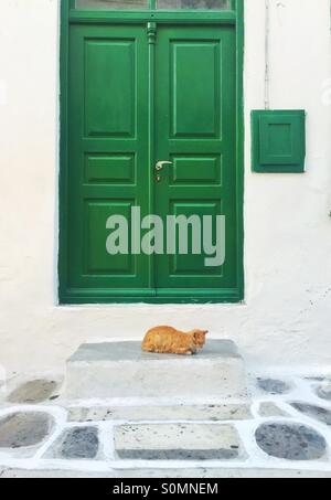 Einsamer Ingwer Katze durch die grüne Tür Stockfoto