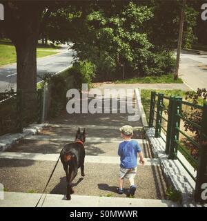 Mans besten Freund Stockfoto