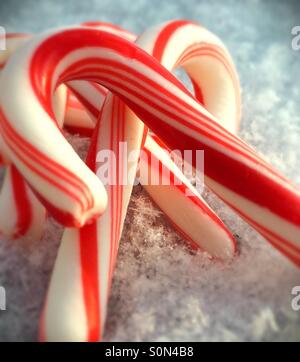 Nahaufnahme der Zuckerstangen im Neuschnee Stockfoto