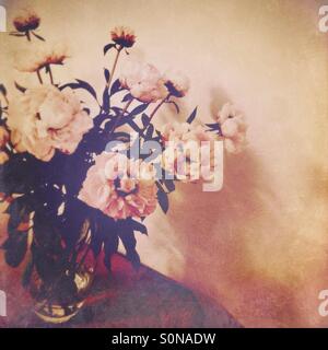 Pfingstrosen in einer Vase auf dem Tisch Stockfoto