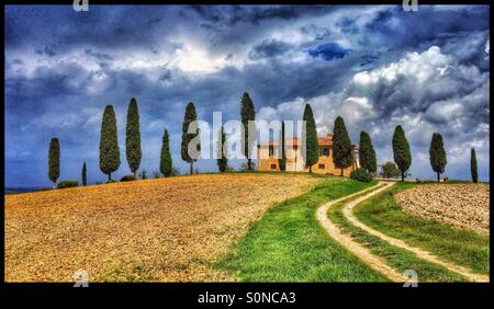 Einen klassischen toskanischen Landschaft Blick. Ein Bauernhaus in der Nähe von Pienza, "bewacht" von den berühmten Zypressen in der Val d ' Orcia, Toskana, Italien. Bildnachweis - © COLIN HOSKINS. Stockfoto