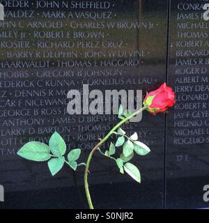 Rose, umrahmt von Namen auf Vietnam Veterans Memorial, Washington DC Stockfoto