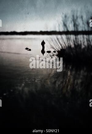 Eine geheimnisvolle und einsame, dunkle Figur steht in einem See mit Winternebel steigt aus dem Wasser Stockfoto