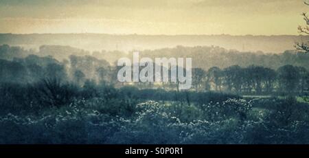 Blick über Dorset Landschaft im Winter morgens Stockfoto