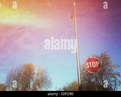 Lichtmast und Stop-Schild Stockfoto