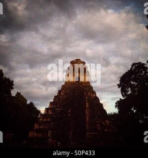 Eine Pyramide von Sonnenuntergang beleuchtet in der Maya-Stadt Tikal, Petén, Guatemala Stockfoto