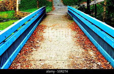 Herbst Blätter verstreut über eine blaue Brücke. Stockfoto