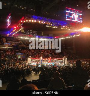 Boxen, Echo arena Stockfoto