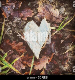 Stein Herz auf Blätter Stockfoto