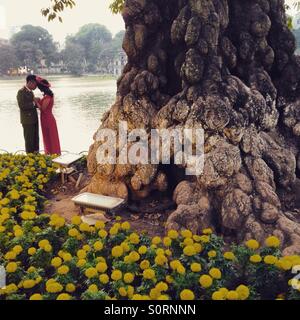 Vietnamesische liebe paar unter einem Baum in Hanoi, Vietnam. Stockfoto