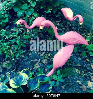 Kunststoff rosa Flamingos. Stockfoto