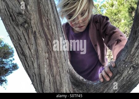 Mädchen, die einen Baum klettern Stockfoto