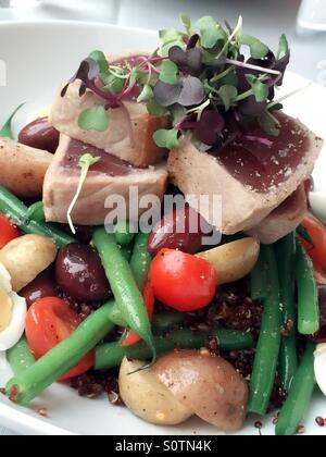 Nicose Thunfischsalat im Restaurant in New York City Stockfoto