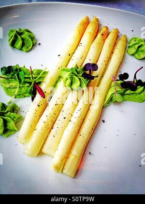 Spargel Stockfoto