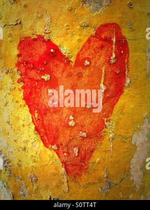 Rotes Herz auf Baumstamm gemalt. Sayulita, Riviera Nayarit, Mexiko. Stockfoto