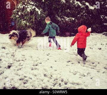 Hund und Kinder spielen im Schnee Stockfoto