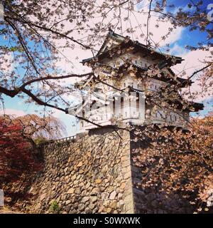 Hirosaki Schloss, Aomori, Japan Stockfoto