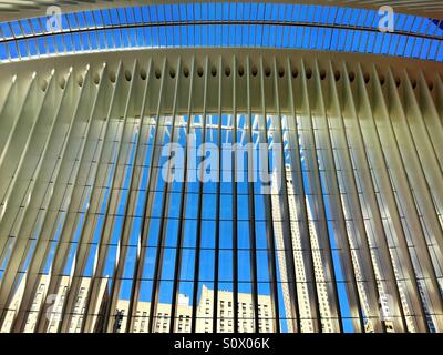 Wolkenkratzer im Finanzdistrikt ersichtlich durch die Glaswände des Oculus am World Trade Center Transportation Hub, NYC Stockfoto