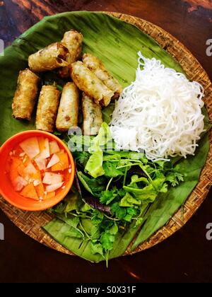 Vietnamesische Ente Frühlingsrollen mit Nudeln und Gemüse Stockfoto