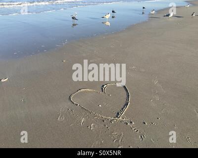 Herz im Sand und Lachen Möwen im Ozean in Jacksonville Beach, fl, USA. Stockfoto