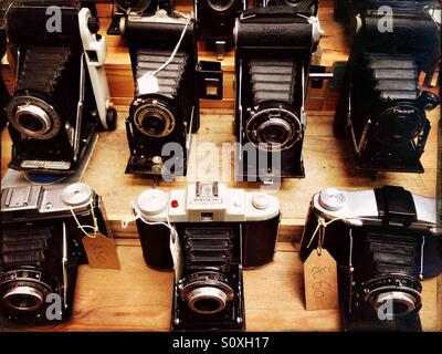 Vintage-Kameras auf dem Display auf einem Markt in Greenwich, London Stockfoto