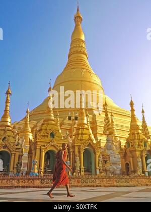 Buddhistischer Mönch in der Shwedagon-Pagode Stockfoto