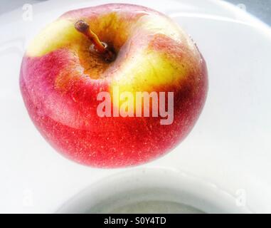 Ein roter und gelber Apfel in eine Schüssel mit Wasser schweben, versenkt die Hälfte. Stockfoto