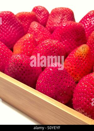 Frische Erdbeeren auf einem Holztablett mit weißem Hintergrund Stockfoto