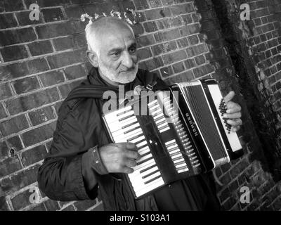 Roma Zigeunermusiker mit Akkordeon zu spielen. London, Vereinigtes Königreich 2016 Stockfoto