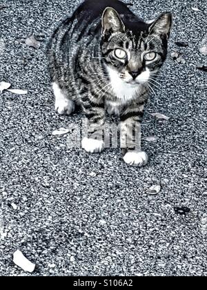 Also, was Sie wollen? Stockfoto